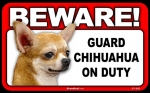 BEWARE Guard Dog on Duty Sign - Chihuahua - FREE Shipping
