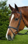 HDR Event Bridle With Rubber Reins - HAVANA, COB