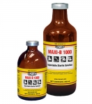 MAXI-B 1000