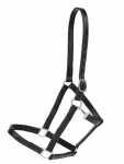 Tory leather 1" Halter with Single Crown Buckle and Snap Throat
