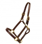 Tory Leather Triple Stitched Halter with Rolled Throat and Snap
