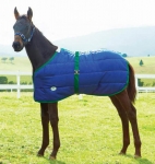 Weatherbeeta 420D Adjustable Newborn Foal Blanket